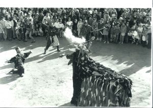 Toro de Fuego © Polak